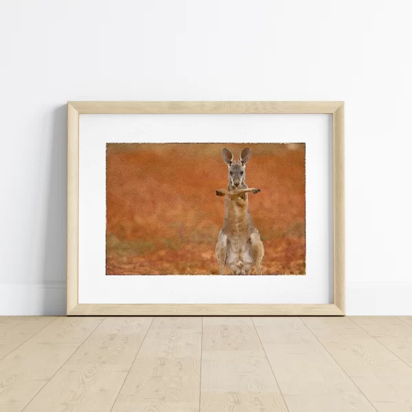 A red kangaroo crosses his arms over his chest in the Sturt Stony Desert