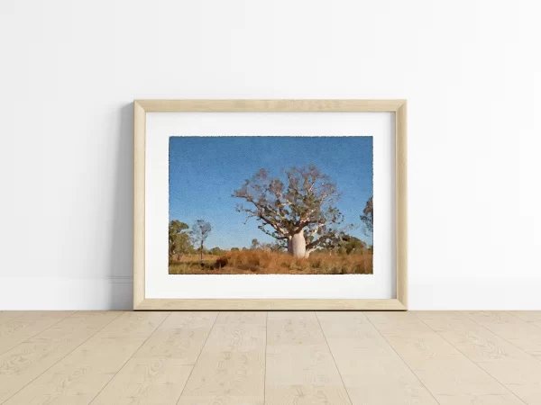 Boab Tree Adansonia Gregorli in the Kimberly Region WA