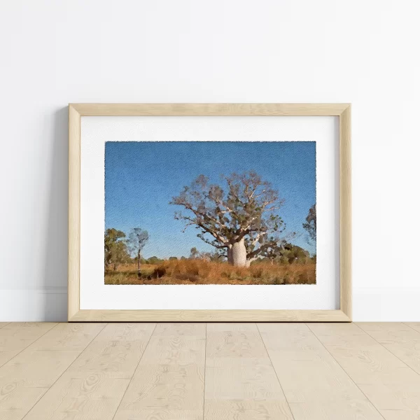 Boab Tree Adansonia Gregorli in the Kimberly Region WA